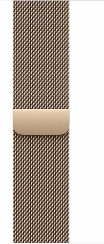Apple watch - watch, band